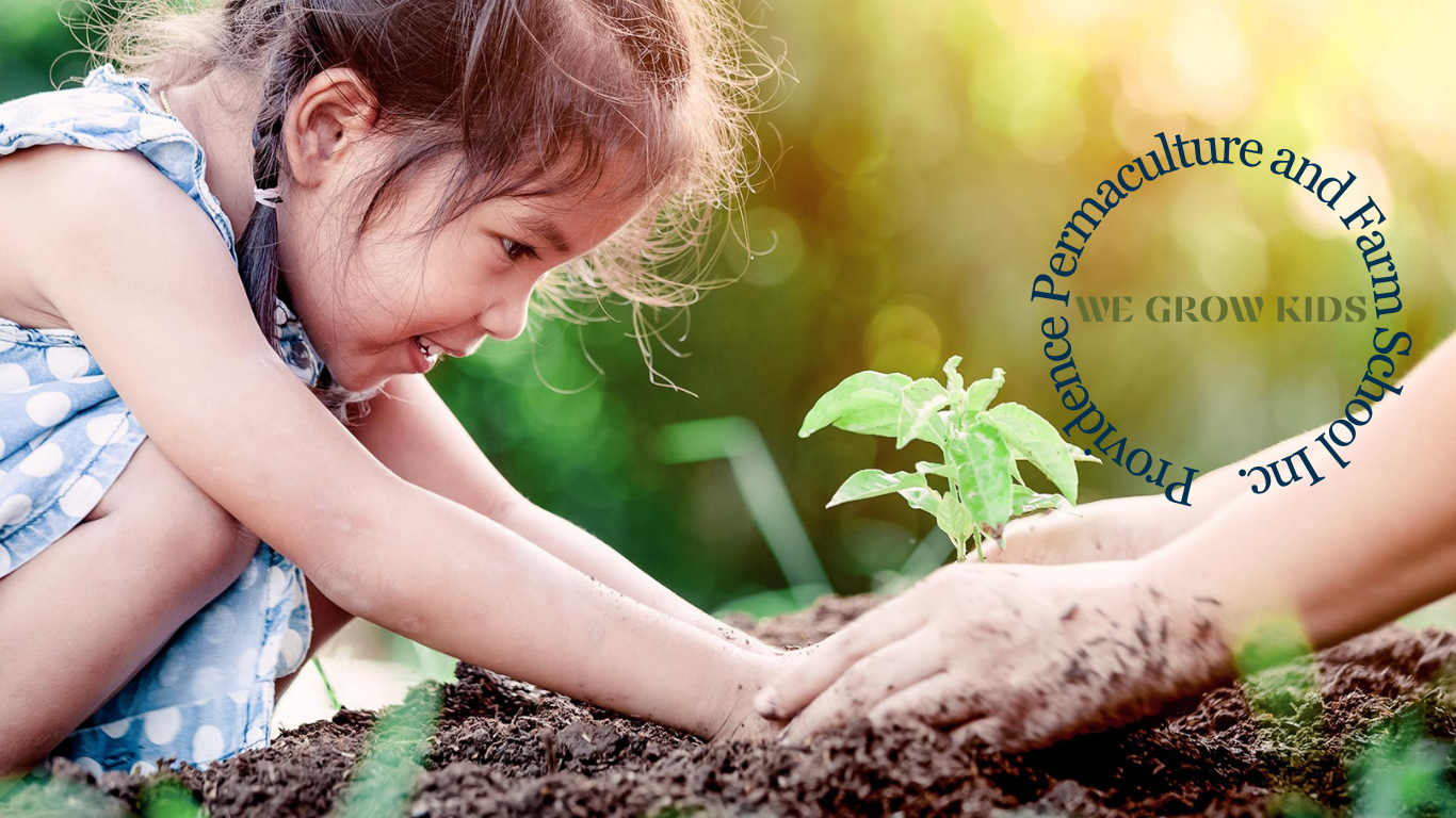 Permaculture in Medellin - Girl about the Globe